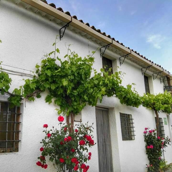 Casa Rural El Cortijo Nuevo, En Эль-Сересо Экстерьер фото
